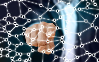 华体会登录入口-中国足球青训梯队人员年龄层结构,足球青训年龄段