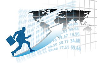 华体会体育官方网址-中国篮球职业联赛赛事运营风险评估与管理对策，篮球赛事安全风险